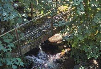 Umgebung Bach