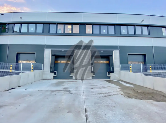 INFOS UNTER: 06171-586000