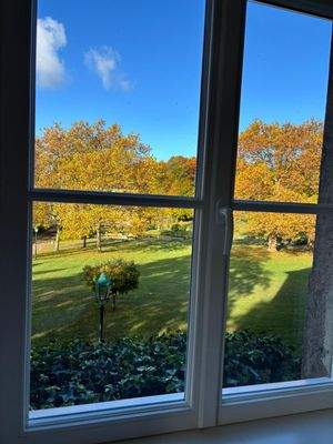 Parkblick vom Wohnzimmer