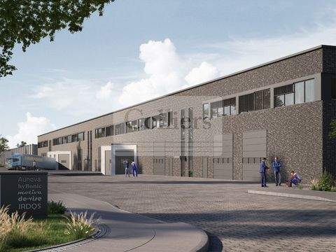 Ahrensburg Halle, Ahrensburg Hallenfläche