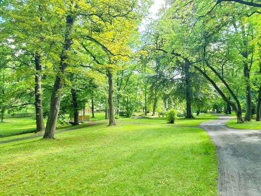 Angrenzender Stadtpark