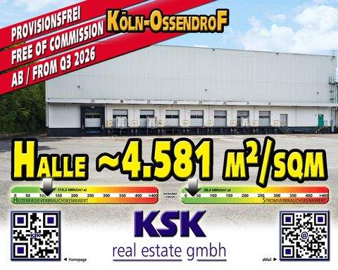 Köln Halle, Köln Hallenfläche