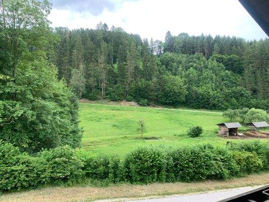 Ausblick Loggia, wohnen Sie hier direkt am Waldrand