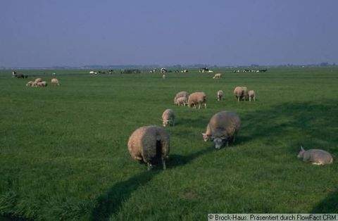 Bielefeld Grundstücke, Bielefeld Grundstück kaufen