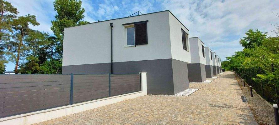 20250612_105852 (1).jpg