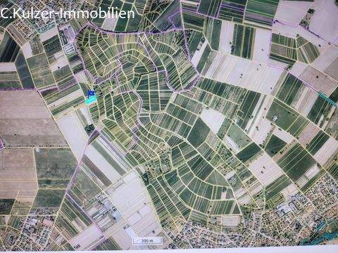 Fischingen Bauernhöfe, Landwirtschaft, Fischingen Forstwirtschaft