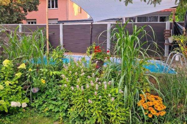 Garten im Sommer