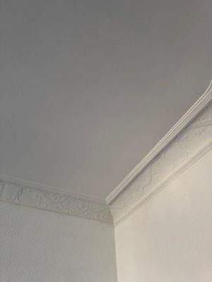 Stuck in der Wohnung.jpg