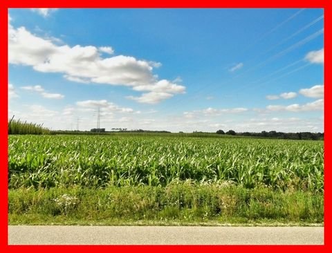 Geisenfeld Bauernhöfe, Landwirtschaft, Geisenfeld Forstwirtschaft