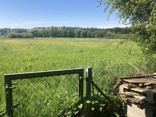 Blick ins Grüne, Süden