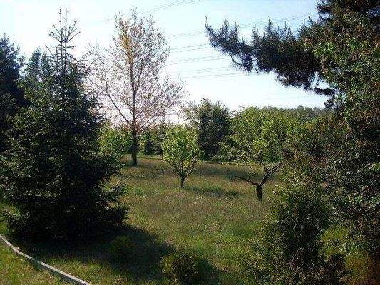 Blick Grundstück