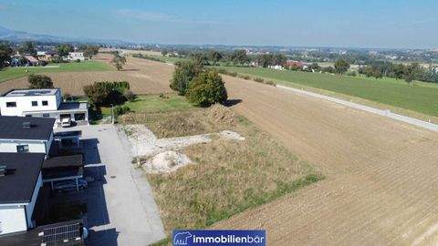 Seitenstetten Grundstücke, Seitenstetten Grundstück kaufen