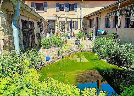 Eine idyllische Oase mit einem kleinen Teich