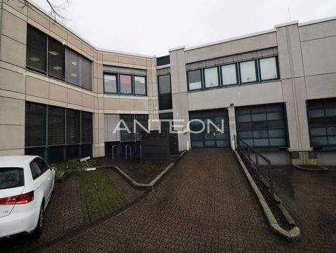 Hilden Halle, Hilden Hallenfläche