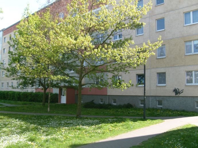 3 Zimmer Wohnung in Neubrandenburg (Reitbahnviertel)