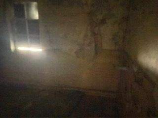 88004305-901d-4fb1-9f7b-df57fc4da16c