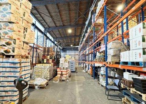 Barsbüttel Halle, Barsbüttel Hallenfläche