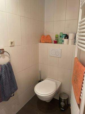 Landhaus Toilette EG (im Duschbad)