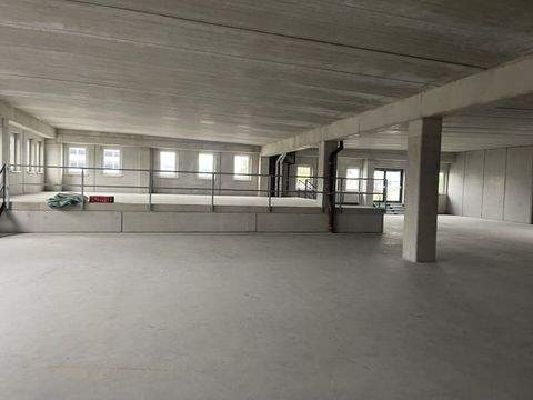 Salzburg Halle, Salzburg Hallenfläche