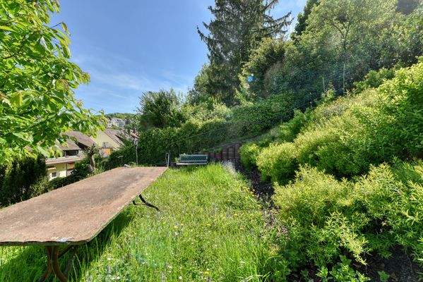 Garten E1 nach Osten