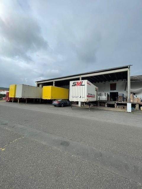 Klingenberg Halle, Klingenberg Hallenfläche