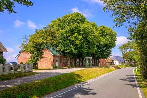 Pellworm Häuser, Pellworm Haus kaufen