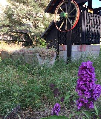 Garden - trough with old well