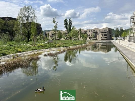 Reininghauspark