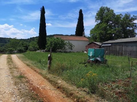 Sveti Ivan Bauernhöfe, Landwirtschaft, Sveti Ivan Forstwirtschaft