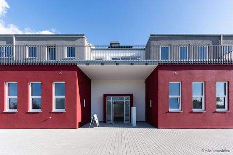 Rothenburg ob der Tauber Halle, Rothenburg ob der Tauber Hallenfläche