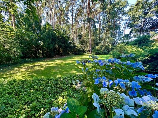 Blick in den Garten