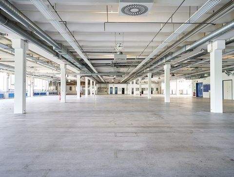 Frickenhausen Halle, Frickenhausen Hallenfläche