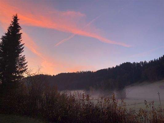 Ausblick von der Terrasse