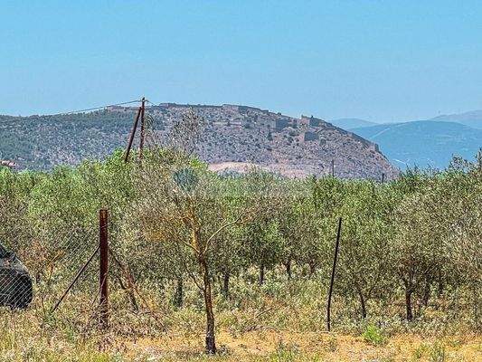 74b417aaf2fc4dc0a799c7fe662a572c-original