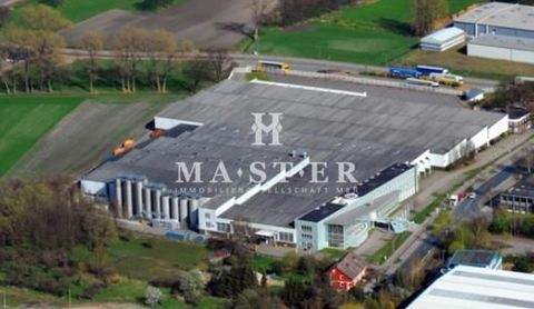 Buxtehude Halle, Buxtehude Hallenfläche