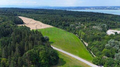 Herrsching am Ammersee Bauernhöfe, Landwirtschaft, Herrsching am Ammersee Forstwirtschaft