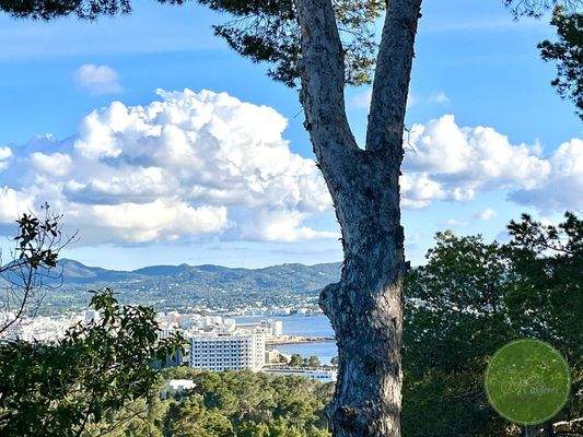 Ausblick auf San Antonio 