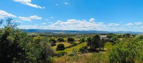 Berchidda - SARDINIEN Grundstücke, Berchidda - SARDINIEN Grundstück kaufen