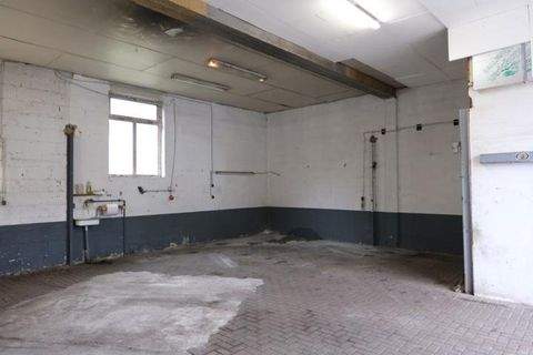 Rodalben Halle, Rodalben Hallenfläche