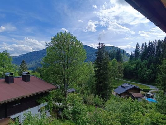 Fernblick