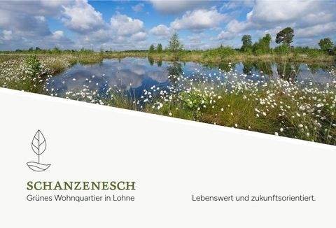 Lohne (Oldenburg) / Hamberg Grundstücke, Lohne (Oldenburg) / Hamberg Grundstück kaufen