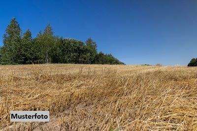 Bad Gleichenberg Bauernhöfe, Landwirtschaft, Bad Gleichenberg Forstwirtschaft