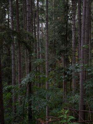 2025-07-22 12.18.54.jpg