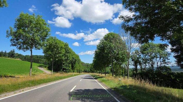 die Allenbacher Allee