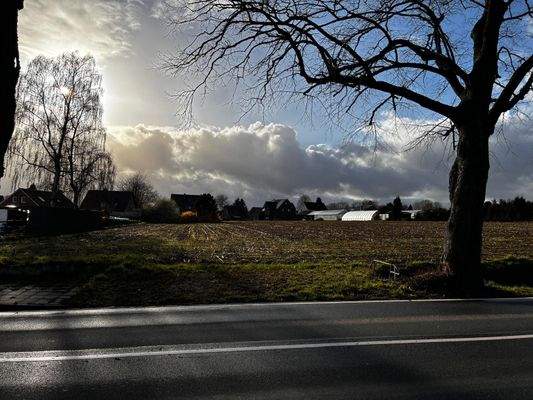 WhatsApp Image 2026-03-30 at 18.14.108.jpeg