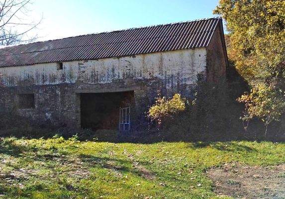 Imagen de WhatsApp 2025-06-20 a las 20.57.47_7c777