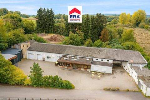 Wallerfangen Halle, Wallerfangen Hallenfläche