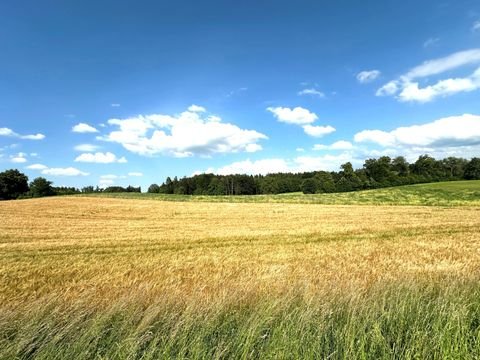 Amerang Bauernhöfe, Landwirtschaft, Amerang Forstwirtschaft