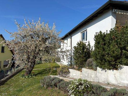 Hausansicht/Garten