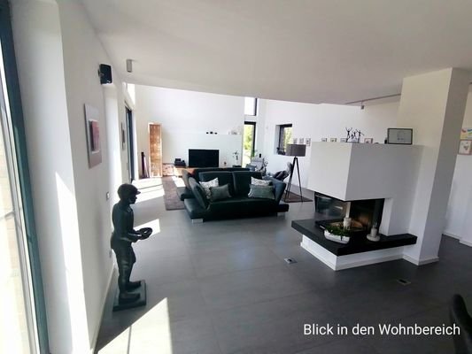 Wohnbereich mit Kaminanlage EG.jpg